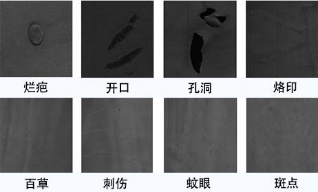 皮革表面检测