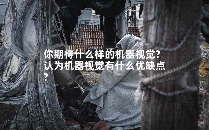 你期待什么样的机器视觉?认为机器视觉有什么优缺点?