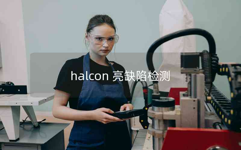 halcon 亮缺陷检测