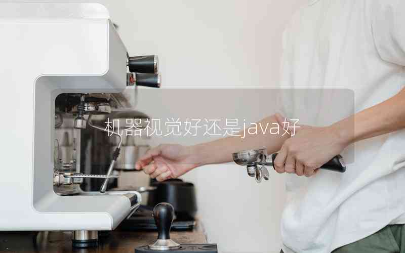 机器视觉好还是java好