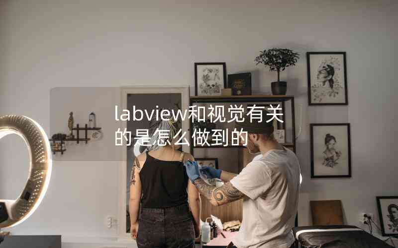 labview和视觉有关的是怎么做到的