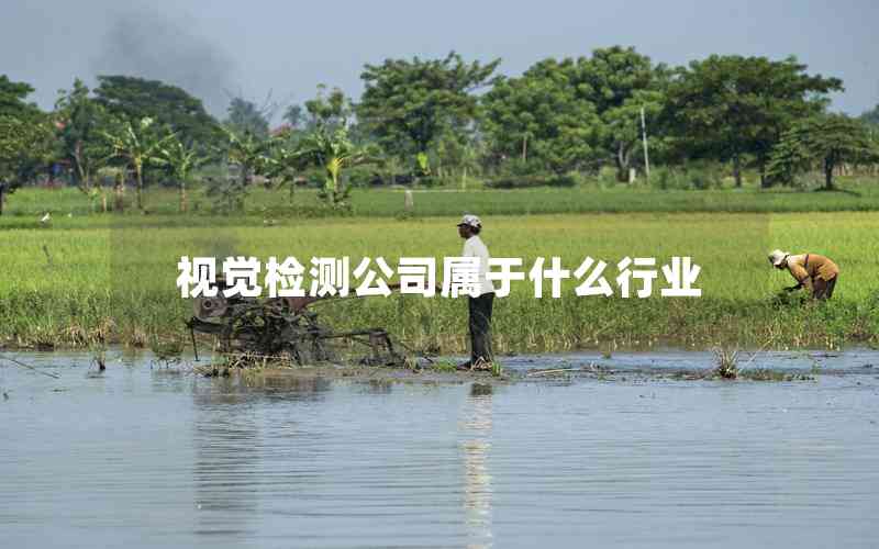 视觉检测公司属于什么行业