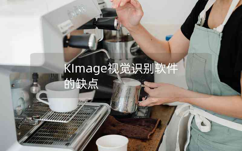 KImage视觉识别软件的缺点