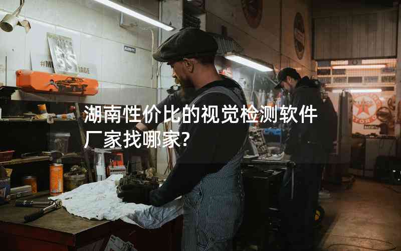 湖南性价比的视觉检测软件厂家找哪家?