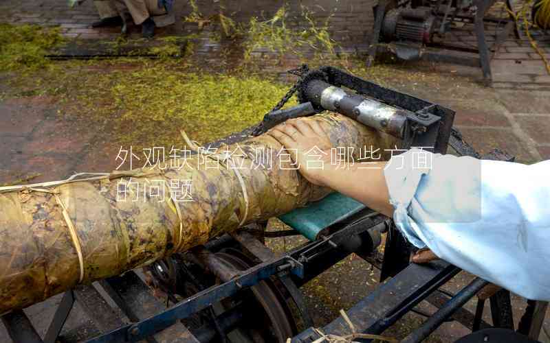 外观缺陷检测包含哪些方面的问题