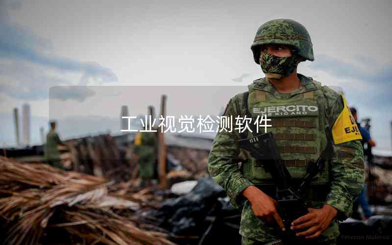 工业视觉检测软件