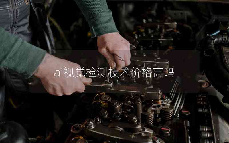 ai视觉检测技术价格高吗