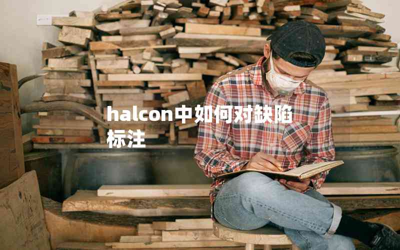 halcon中如何对缺陷标注