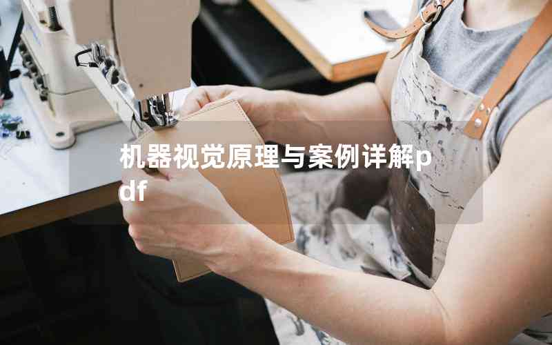 机器视觉原理与案例详解pdf